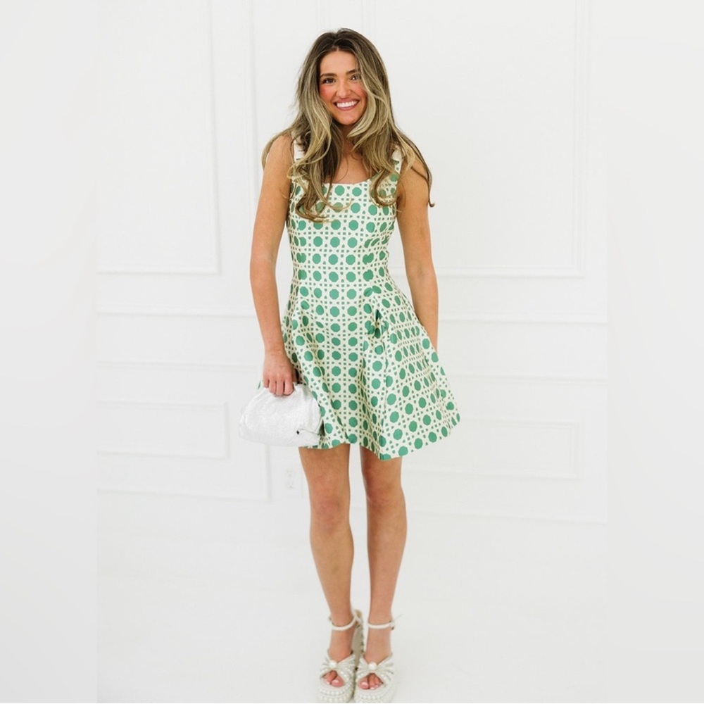 NWT Mestiza Sleeveless Green Patterned Mini Dress - Picture 9 of 12